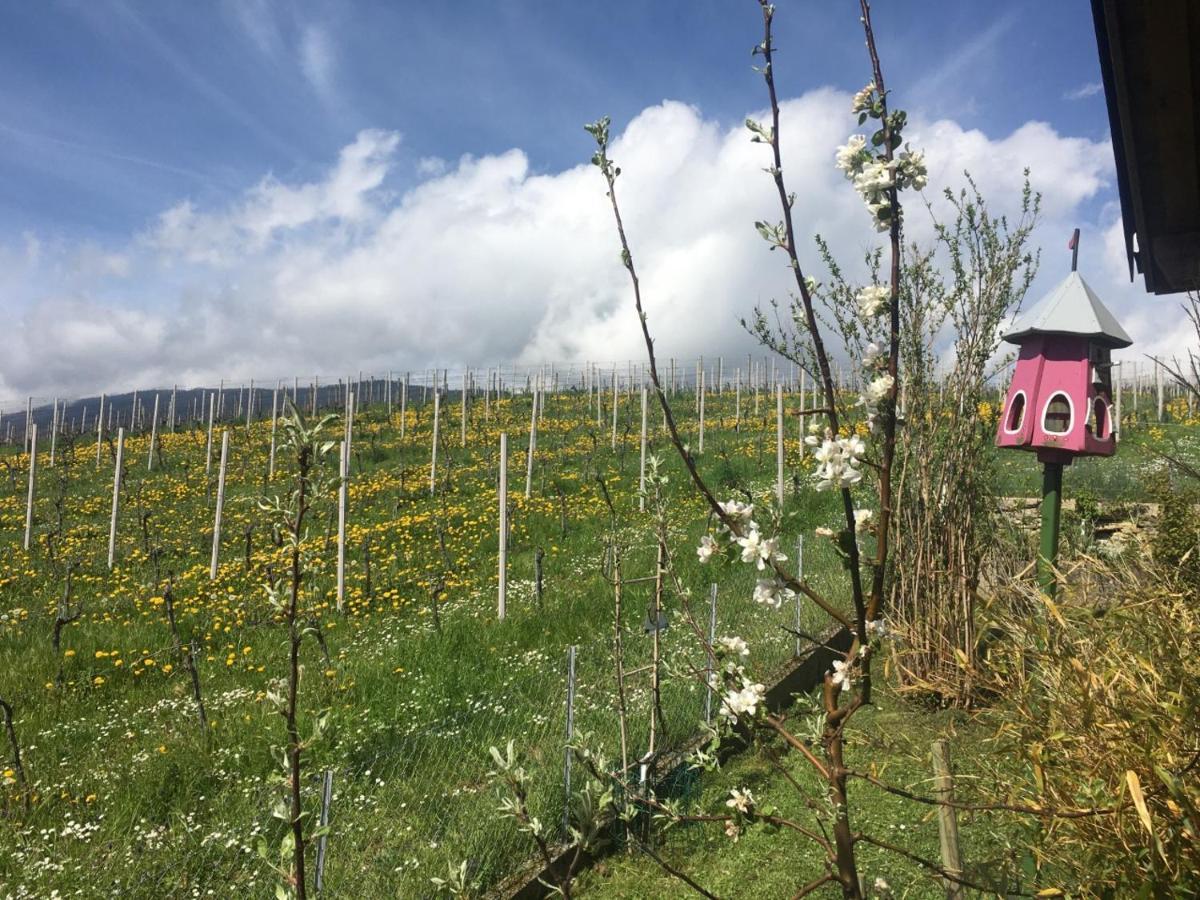 Appartamento Les Rossets Boudry Esterno foto